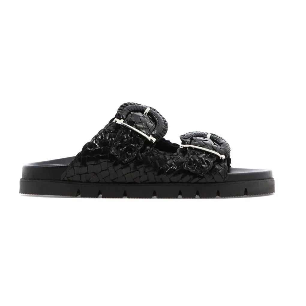9743 Caiman